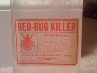 lason para sa mga bedbugs